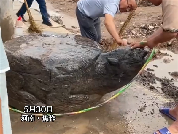 河南一村庄修路挖出大石龟 名为“赑屃”