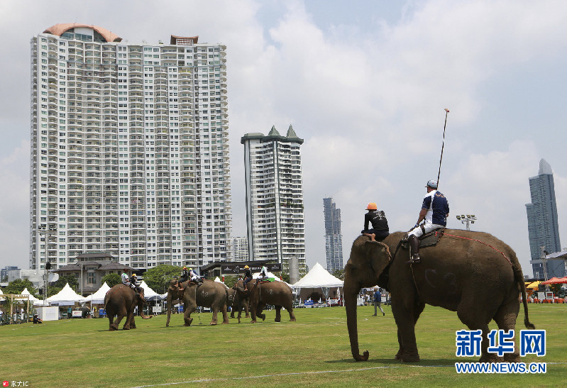 泰国办象球锦标赛 为大象保护慈善募款