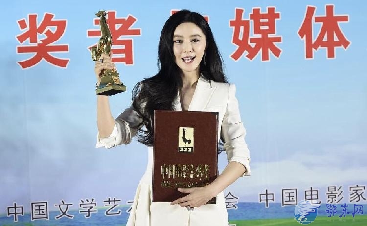 冰分获最佳男女主角 第31届中国电影金鸡奖获