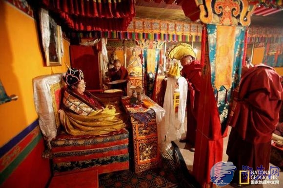 й1311 ѯϵͳhf.tibet.cn