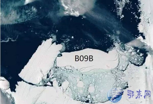 南极巨型冰山坍塌 15万只阿德利企鹅死亡