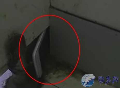 女公共厕所现偷拍机 带wifi功能正对着蹲坑全程可见