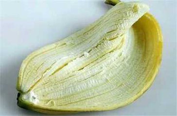 香蕉皮杀蟑螂是真的吗 香蕉皮可以用来杀蟑螂